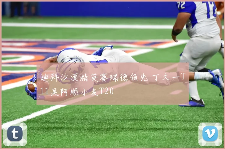 迪拜沙漠精英赛瑞德领先 丁文一T11吴阿顺小麦T20