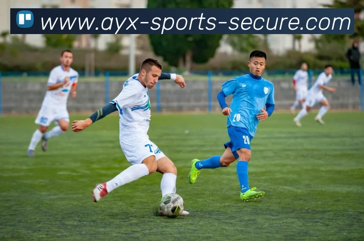 爱游戏体育APP 高清赛事图